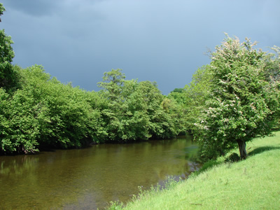 Cefnllysgwynne, River Irfon